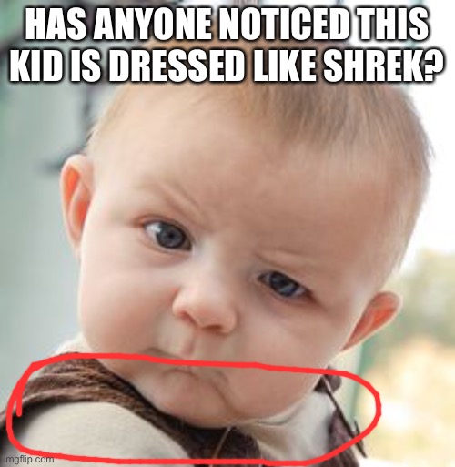 Skeptical Baby |  HAS ANYONE NOTICED THIS KID IS DRESSED LIKE SHREK? | image tagged in memes,skeptical baby | made w/ Imgflip meme maker