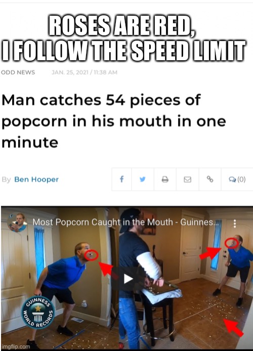 ROSES ARE RED, 
I FOLLOW THE SPEED LIMIT | image tagged in funny | made w/ Imgflip meme maker