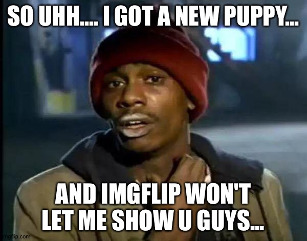 I'm sorry... I'll try again tomorrow! | SO UHH.... I GOT A NEW PUPPY... AND IMGFLIP WON'T LET ME SHOW U GUYS... | image tagged in memes,y'all got any more of that | made w/ Imgflip meme maker