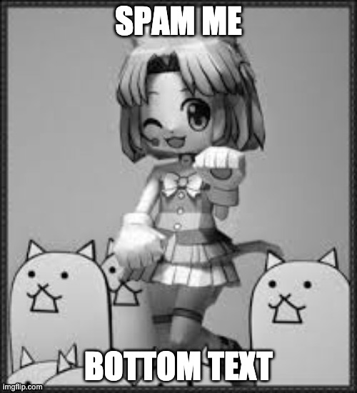 d o i t n o w | SPAM ME; BOTTOM TEXT | image tagged in c a t | made w/ Imgflip meme maker