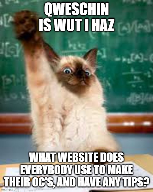 Raised hand cat | QWESCHIN IS WUT I HAZ; WHAT WEBSITE DOES EVERYBODY USE TO MAKE THEIR OC'S, AND HAVE ANY TIPS? | image tagged in raised hand cat | made w/ Imgflip meme maker