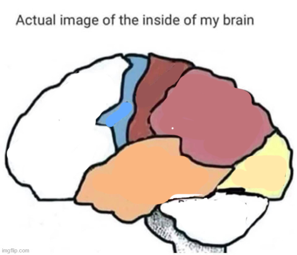 High Quality actual image of the inside of my brain Blank Meme Template