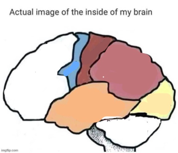 new template called actual image of the inside of my brain | image tagged in actual image of the inside of my brain | made w/ Imgflip meme maker