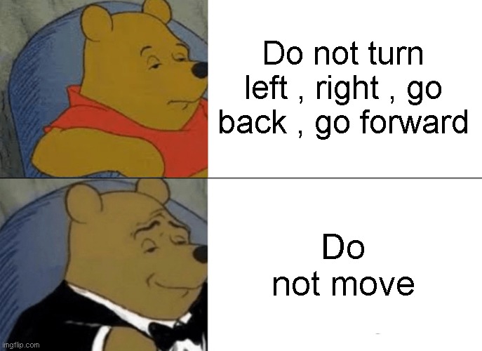 Right? |  Do not turn left , right , go back , go forward; Do not move | image tagged in memes,tuxedo winnie the pooh | made w/ Imgflip meme maker