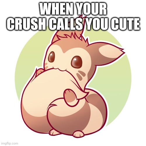 Cute ferret | WHEN YOUR CRUSH CALLS YOU CUTE | image tagged in cute ferret | made w/ Imgflip meme maker