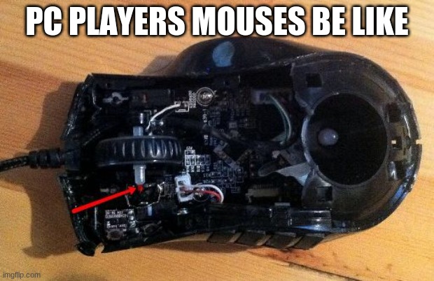 PC PLAYERS | PC PLAYERS MOUSES BE LIKE | image tagged in pc | made w/ Imgflip meme maker