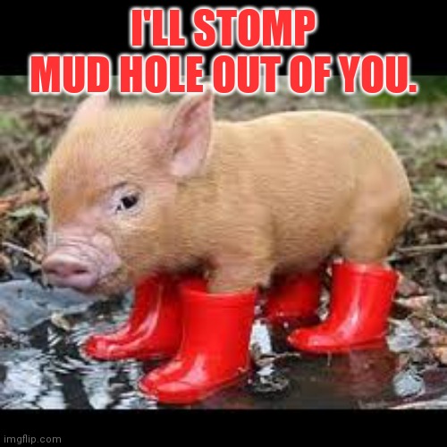 Piggy | I'LL STOMP MUD HOLE OUT OF YOU. | image tagged in funny memes | made w/ Imgflip meme maker