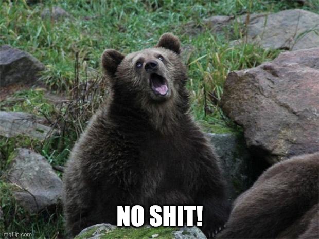 No Shit Bear | NO SHIT! | image tagged in no shit bear | made w/ Imgflip meme maker