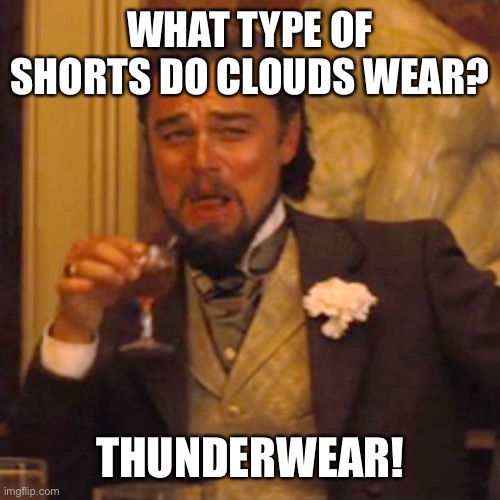 Laughing Leo | WHAT TYPE OF SHORTS DO CLOUDS WEAR? THUNDERWEAR! | image tagged in memes,laughing leo | made w/ Imgflip meme maker