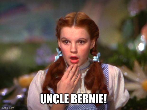 Dorothy | UNCLE BERNIE! | image tagged in dorothy | made w/ Imgflip meme maker