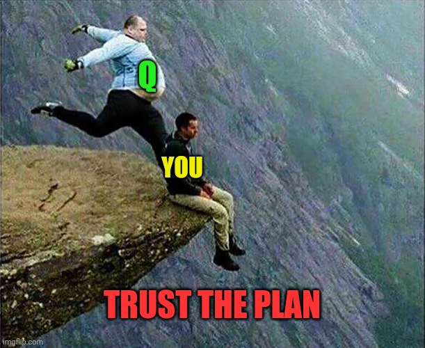 Kicked off cliff | Q; YOU; TRUST THE PLAN | image tagged in kicked off cliff | made w/ Imgflip meme maker