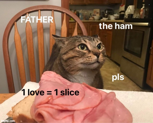 H A M B | image tagged in cats,cat,ham,repost,reposts,reposts are awesome | made w/ Imgflip meme maker