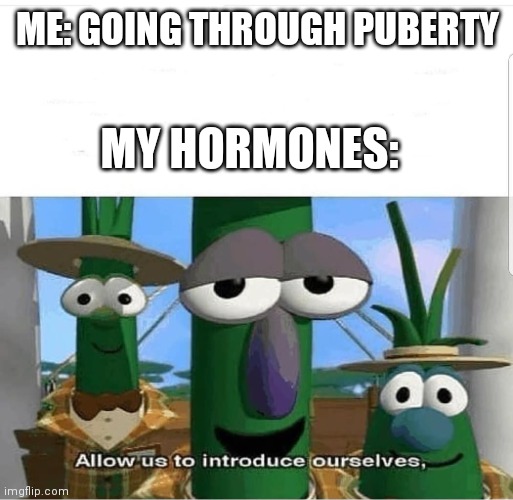Ohhhhh, another relatable one | ME: GOING THROUGH PUBERTY; MY HORMONES: | image tagged in allow us to introduce ourselves,funny,memes | made w/ Imgflip meme maker