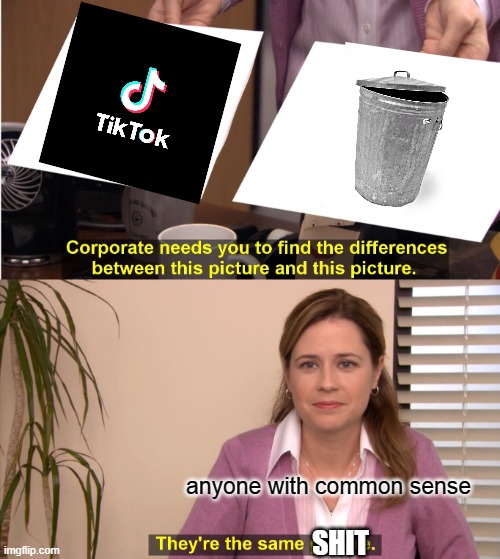 They're The Same Picture Meme | anyone with common sense; SHIT | image tagged in memes,they're the same picture | made w/ Imgflip meme maker