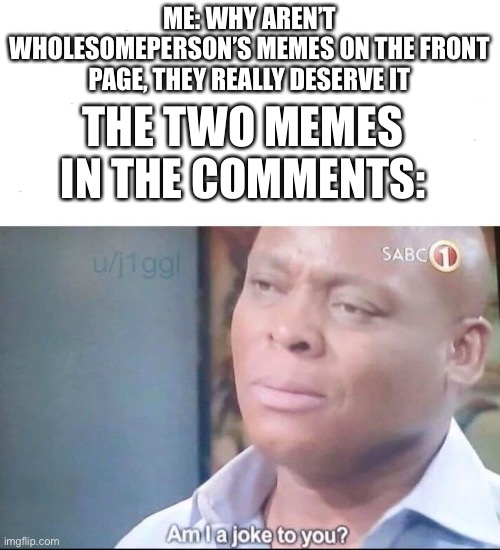 am I a joke to you | ME: WHY AREN’T WHOLESOMEPERSON’S MEMES ON THE FRONT PAGE, THEY REALLY DESERVE IT; THE TWO MEMES IN THE COMMENTS: | image tagged in am i a joke to you | made w/ Imgflip meme maker