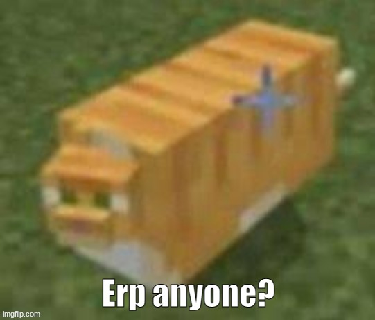 Oh lawd he comin minecraft | Erp anyone? | image tagged in oh lawd he comin minecraft | made w/ Imgflip meme maker