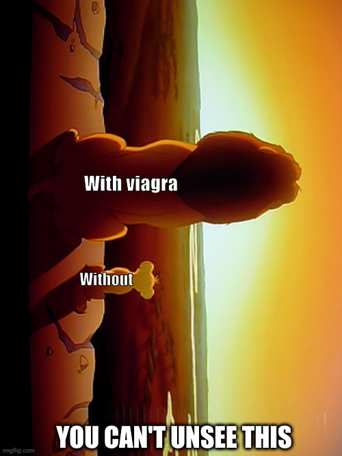 I'm sorry... | With viagra; Without; YOU CAN'T UNSEE THIS | image tagged in memes,lion king | made w/ Imgflip meme maker