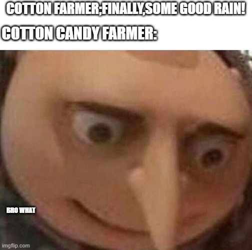 gru meme | COTTON FARMER;FINALLY,SOME GOOD RAIN! COTTON CANDY FARMER:; BRO WHAT | image tagged in gru meme,cotton farmer,cotton candy,rain,farmers | made w/ Imgflip meme maker