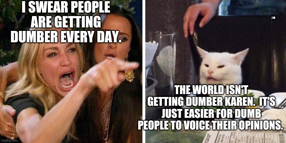 Smudge the cat | I SWEAR PEOPLE ARE GETTING DUMBER EVERY DAY. J M; THE WORLD ISN'T GETTING DUMBER KAREN.  IT'S JUST EASIER FOR DUMB PEOPLE TO VOICE THEIR OPINIONS. | image tagged in smudge the cat | made w/ Imgflip meme maker