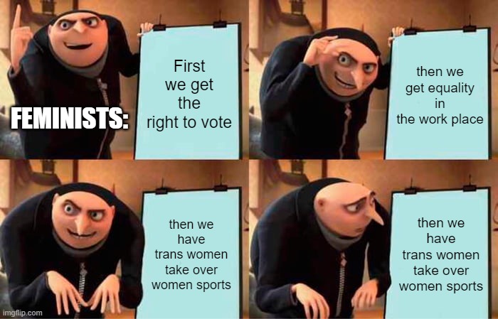 Gru's Plan Meme | First we get the right to vote; then we get equality in the work place; FEMINISTS:; then we have trans women take over women sports; then we have trans women take over women sports | image tagged in memes,gru's plan,transgender,bruh moment | made w/ Imgflip meme maker