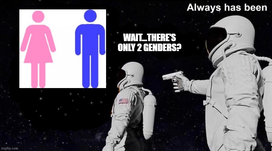 WAIT...THERE'S ONLY 2 GENDERS? | image tagged in always has been,feminism,gender,bruh moment,lbgt | made w/ Imgflip meme maker