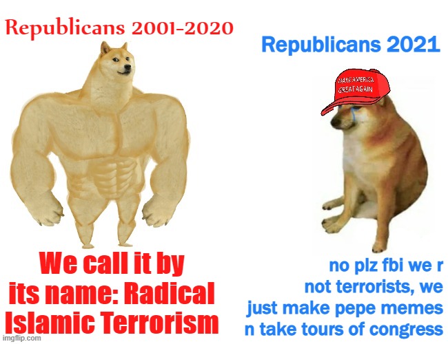 tl;dr why is the fbi here | Republicans 2001-2020; Republicans 2021; no plz fbi we r not terrorists, we just make pepe memes n take tours of congress; We call it by its name: Radical Islamic Terrorism | image tagged in buff doge vs maga cheems,fbi,why is the fbi here,republicans,terrorists,maga | made w/ Imgflip meme maker