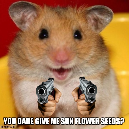 Two Thumbs Up | YOU DARE GIVE ME SUN FLOWER SEEDS? | image tagged in two thumbs up | made w/ Imgflip meme maker