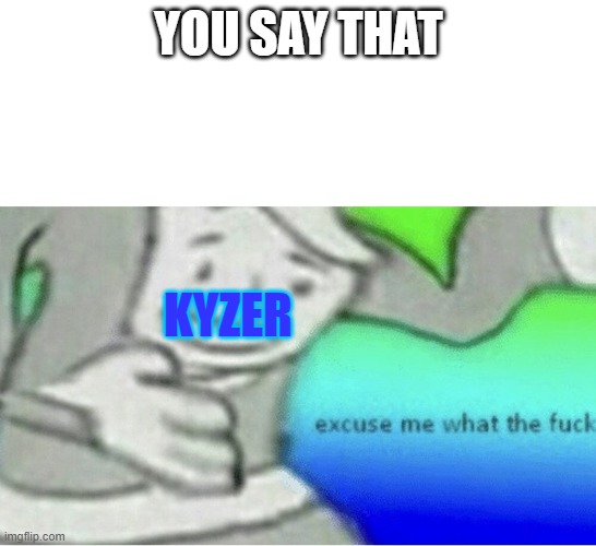 Excuse me wtf blank template | YOU SAY THAT KYZER | image tagged in excuse me wtf blank template | made w/ Imgflip meme maker