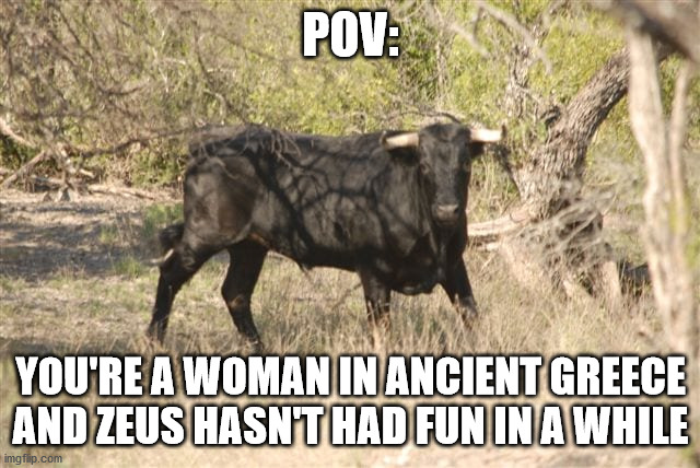 Staring bull | POV:; YOU'RE A WOMAN IN ANCIENT GREECE AND ZEUS HASN'T HAD FUN IN A WHILE | image tagged in staring bull | made w/ Imgflip meme maker