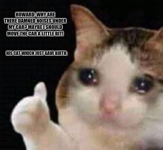 Approved crying cat | HOWARD: WHY ARE THERE DAMNED NOISES UNDER MY CAR? MAYBE I SHOULD MOVE THE CAR A LITTLE BIT! HIS CAT WHICH JUST GAVE BIRTH: | image tagged in memes,dark humor,crying cat | made w/ Imgflip meme maker
