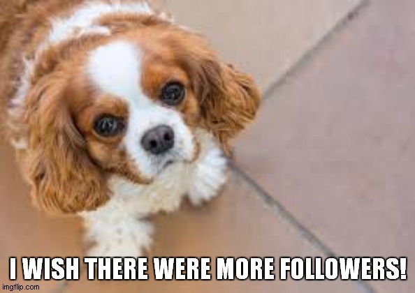  I WISH THERE WERE MORE FOLLOWERS! | made w/ Imgflip meme maker