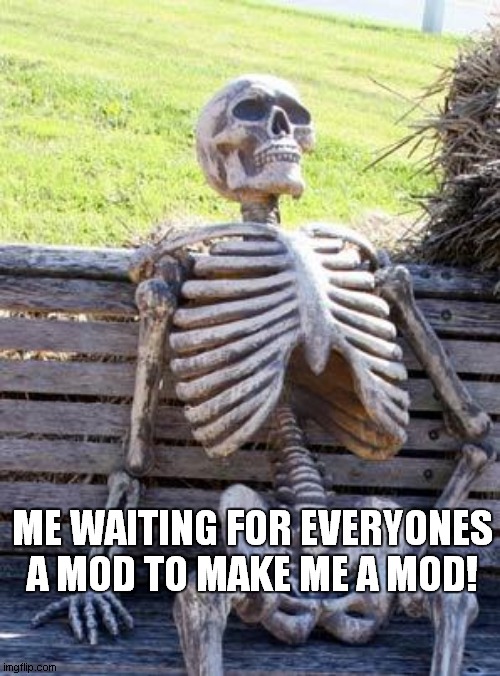 Waiting Skeleton | ME WAITING FOR EVERYONES A MOD TO MAKE ME A MOD! | image tagged in memes,waiting skeleton | made w/ Imgflip meme maker