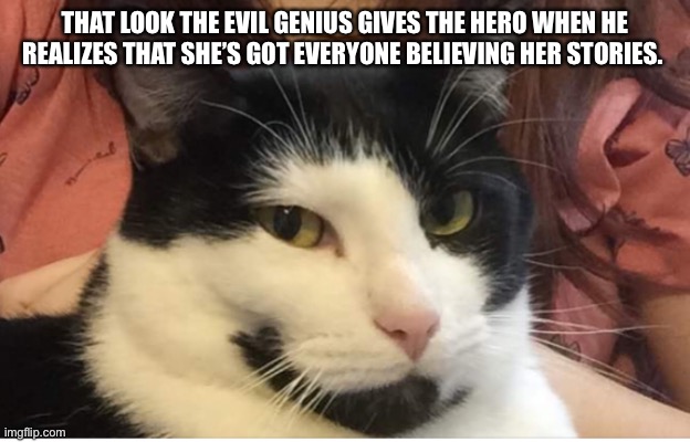 That look | THAT LOOK THE EVIL GENIUS GIVES THE HERO WHEN HE REALIZES THAT SHE’S GOT EVERYONE BELIEVING HER STORIES. | image tagged in cats,villain,animals,memes,humor,funny | made w/ Imgflip meme maker