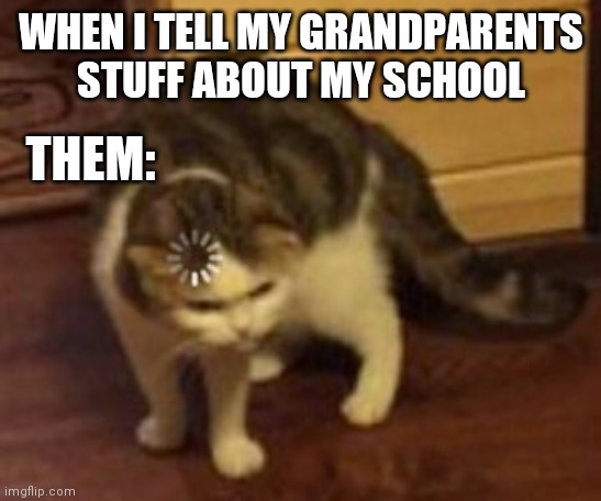 Loading cat | WHEN I TELL MY GRANDPARENTS STUFF ABOUT MY SCHOOL; THEM: | image tagged in loading cat | made w/ Imgflip meme maker