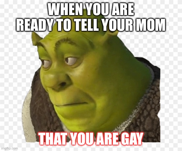 Shreek | WHEN YOU ARE READY TO TELL YOUR MOM; THAT YOU ARE GAY | image tagged in shrek | made w/ Imgflip meme maker