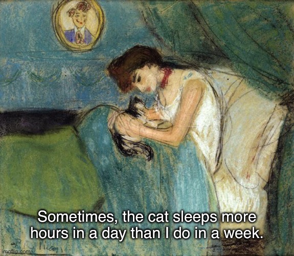 Waiting For the Sun To Come Up | Sometimes, the cat sleeps more
hours in a day than I do in a week. | image tagged in memes,restless,overthink | made w/ Imgflip meme maker