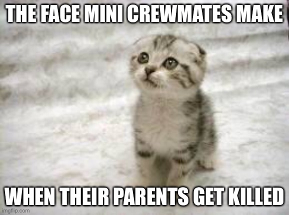 Mini crewmates be like | THE FACE MINI CREWMATES MAKE; WHEN THEIR PARENTS GET KILLED | image tagged in memes,sad cat,cat,sad,mini crewmate | made w/ Imgflip meme maker