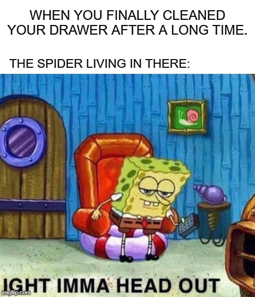 SadSpideyNoises | WHEN YOU FINALLY CLEANED YOUR DRAWER AFTER A LONG TIME. THE SPIDER LIVING IN THERE: | image tagged in memes,spongebob ight imma head out | made w/ Imgflip meme maker