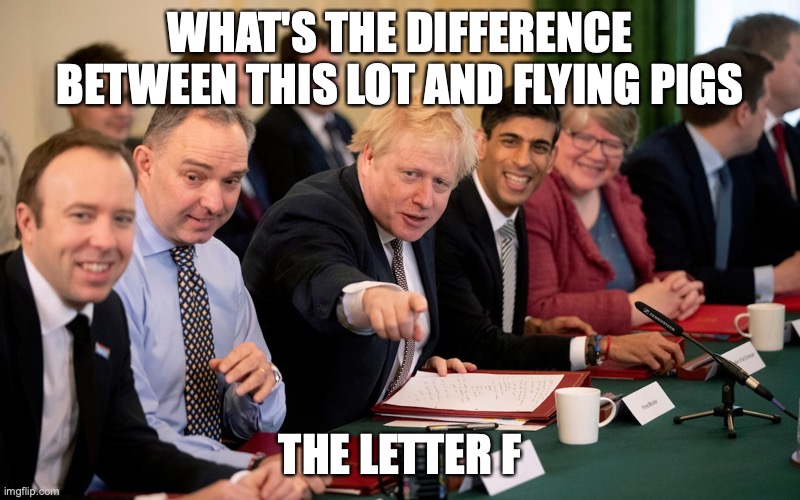 Flying pigs | WHAT'S THE DIFFERENCE BETWEEN THIS LOT AND FLYING PIGS; THE LETTER F | image tagged in boris johnson,tories | made w/ Imgflip meme maker