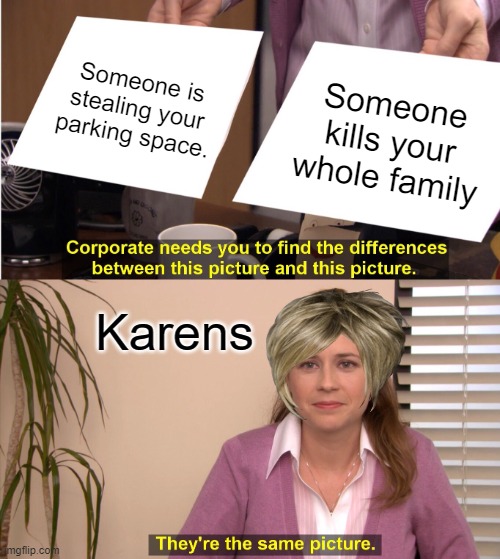 Karen | Someone is stealing your parking space. Someone kills your whole family; Karens | image tagged in memes,they're the same picture,karen,karens | made w/ Imgflip meme maker