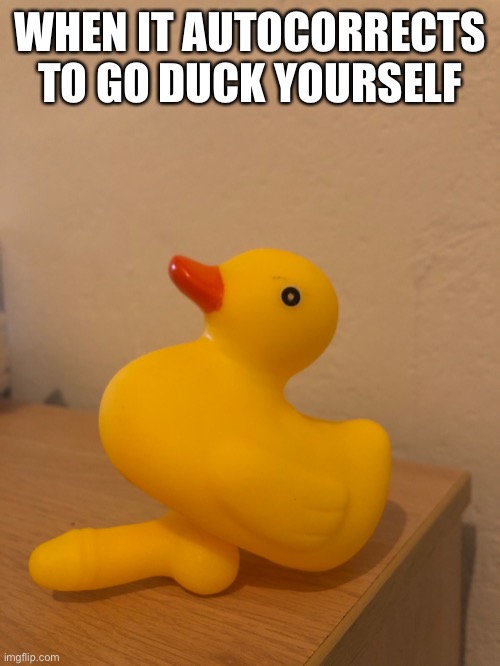 Duck with a dick | WHEN IT AUTOCORRECTS TO GO DUCK YOURSELF | image tagged in duck | made w/ Imgflip meme maker