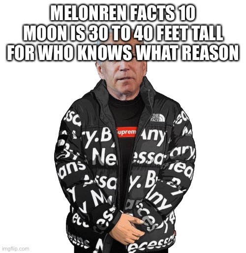 MELONREN FACTS 10
MOON IS 30 TO 40 FEET TALL FOR WHO KNOWS WHAT REASON | made w/ Imgflip meme maker