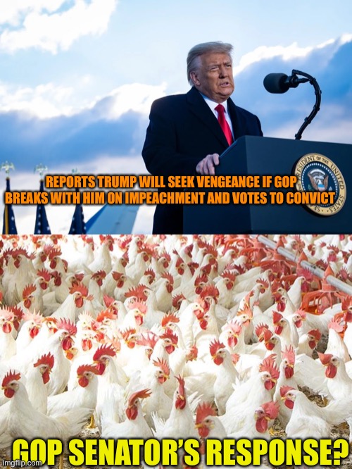 GOP sky is falling | REPORTS TRUMP WILL SEEK VENGEANCE IF GOP BREAKS WITH HIM ON IMPEACHMENT AND VOTES TO CONVICT; GOP SENATOR’S RESPONSE? | image tagged in donald trump,gop,chicken,politics,maga,traitors | made w/ Imgflip meme maker