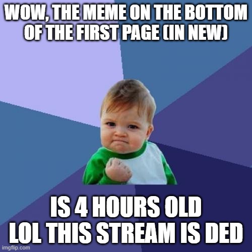 Success Kid | WOW, THE MEME ON THE BOTTOM OF THE FIRST PAGE (IN NEW); IS 4 HOURS OLD LOL THIS STREAM IS DED | image tagged in memes,success kid | made w/ Imgflip meme maker