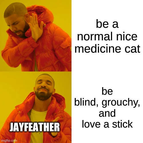 Am I WRONG? | be a normal nice medicine cat; be blind, grouchy, and love a stick; JAYFEATHER | image tagged in memes,drake hotline bling,jayfeather,warriors | made w/ Imgflip meme maker