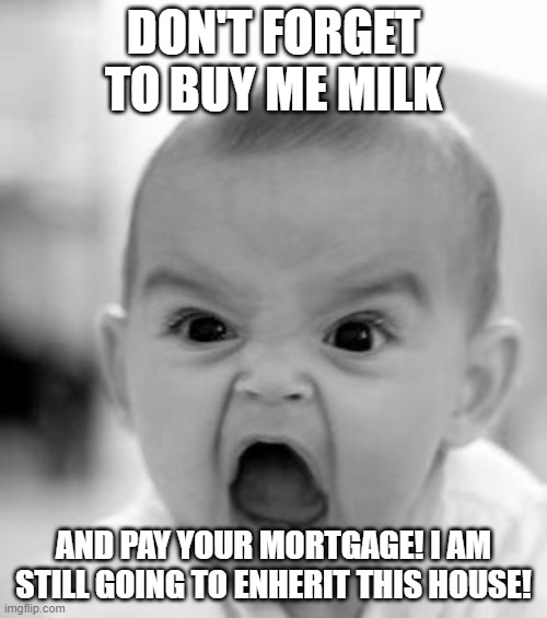 Angry Baby Meme | DON'T FORGET TO BUY ME MILK; AND PAY YOUR MORTGAGE! I AM STILL GOING TO ENHERIT THIS HOUSE! | image tagged in memes,angry baby | made w/ Imgflip meme maker