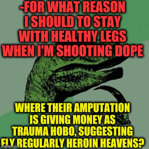 -Airline. | -FOR WHAT REASON I SHOULD TO STAY WITH HEALTHY LEGS WHEN I'M SHOOTING DOPE; WHERE THEIR AMPUTATION IS GIVING MONEY AS TRAUMA HOBO, SUGGESTING FLY REGULARLY HEROIN HEAVENS? | image tagged in memes,philosoraptor,heroin,shooting,jefthehobo,strong legs | made w/ Imgflip meme maker