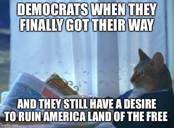 I Should Buy A Boat Cat | DEMOCRATS WHEN THEY FINALLY GOT THEIR WAY; AND THEY STILL HAVE A DESIRE TO RUIN AMERICA LAND OF THE FREE | image tagged in memes,i should buy a boat cat,democrats,evil | made w/ Imgflip meme maker