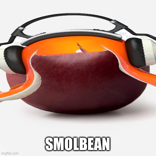 W H Y | SMOLBEAN | image tagged in because | made w/ Imgflip meme maker