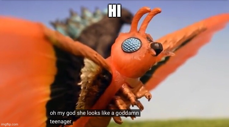 Hi | HI | image tagged in oh my god she look like a goddamn teenager | made w/ Imgflip meme maker